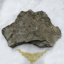 Bi Jincai Natural Canadian Spotted Gems Unpolished Uncovered Plain Plain Plaid Snail Fossils