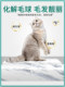 You Ruipai cat food 10kg universal American short English short dedicated adult cat kitten natural food cat food 20 kg You Ruipai cat food 10kg universal American short English short dedicated adult cat kitten natural food cat food 20 kg