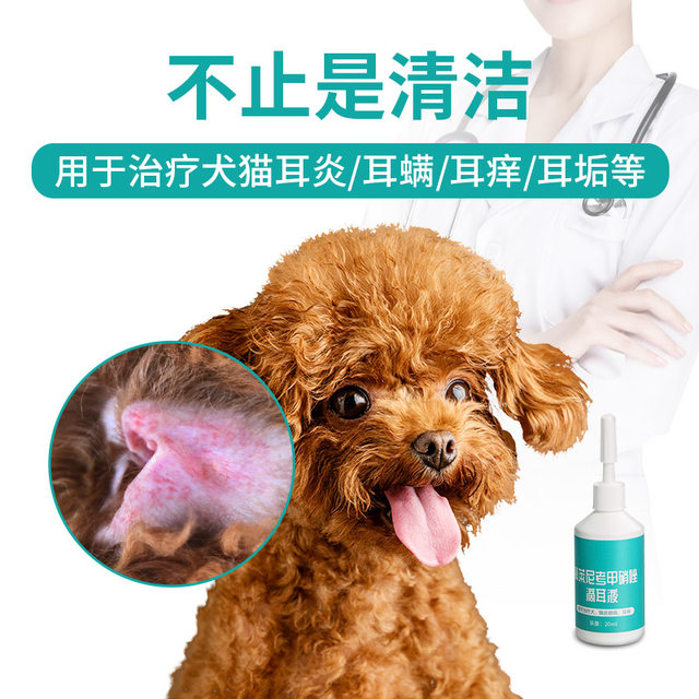 Cat ear wash liquid pet cat ear mite ear drops Teddy ear cleaning liquid anti-inflammatory cat ear mite medicine for dogs and cats Cat ear wash liquid pet cat ear mite ear drops Teddy ear cleaning liquid anti-inflammatory cat ear mite medicine for dogs and cats