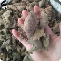 Chinese herbal medicine gallnut 500g new Chinese herbal medicine 100 insect warehouse 100 medicine fried gallate