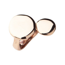 fieldnotes )(Italy) MONICA CASTIGLIONI ring-SPATUSCE