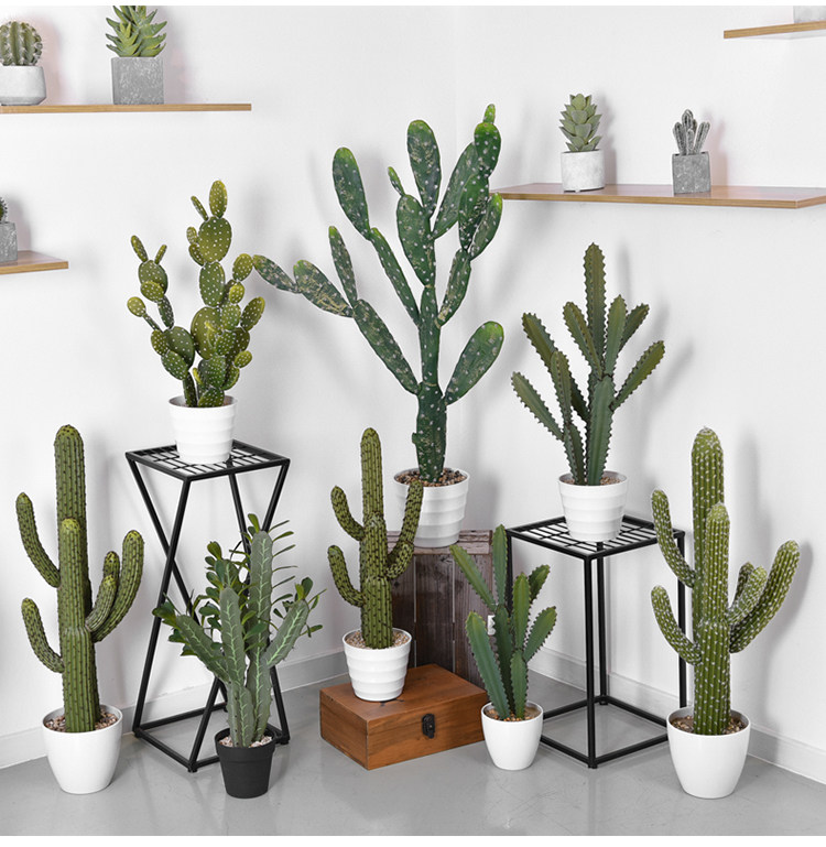 北欧植物仙人掌摆件中大型仙人球仙人柱植物盆栽店铺装饰摄影道具