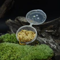 Breadworm Live Yellow Mealworm Barley worm Cherry Cockroach Dolby Asian cricket Reptile crawling pet Live ration