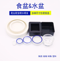 Pet food basin Water basin Reptile climbing pet spider toy SNAKE Horned frog LIZARD Palace guard Hedgehog Escape food basin Water basin