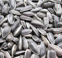 Mixed 68 hamster Golden Bear pet snack raw sunflower seed melon magic King 80g