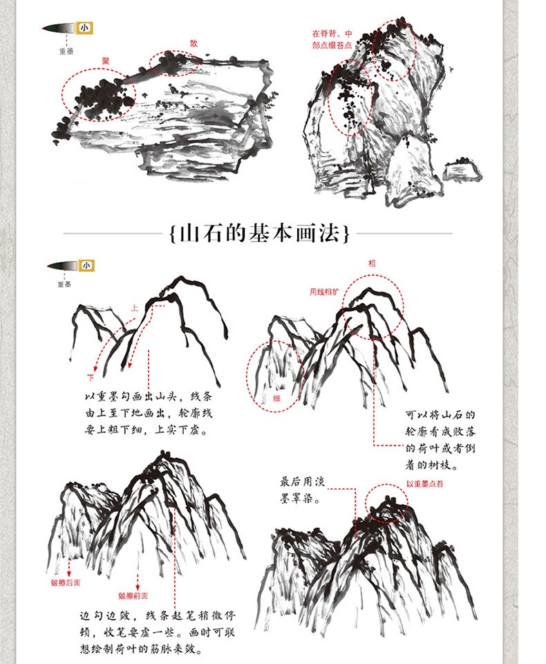 国画教程画画初学者入门零基础自学绘画基础教材工笔画白描画谱技法