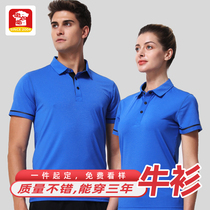 Polo shirt custom corporate work clothes embroidery custom-made high-end lapel short-sleeved T-shirt print logo