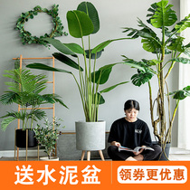 Seven Nordic large-scale simulation plants fake trees green plants potted plants ornaments travelers indoor floor-to-ceiling window decoration