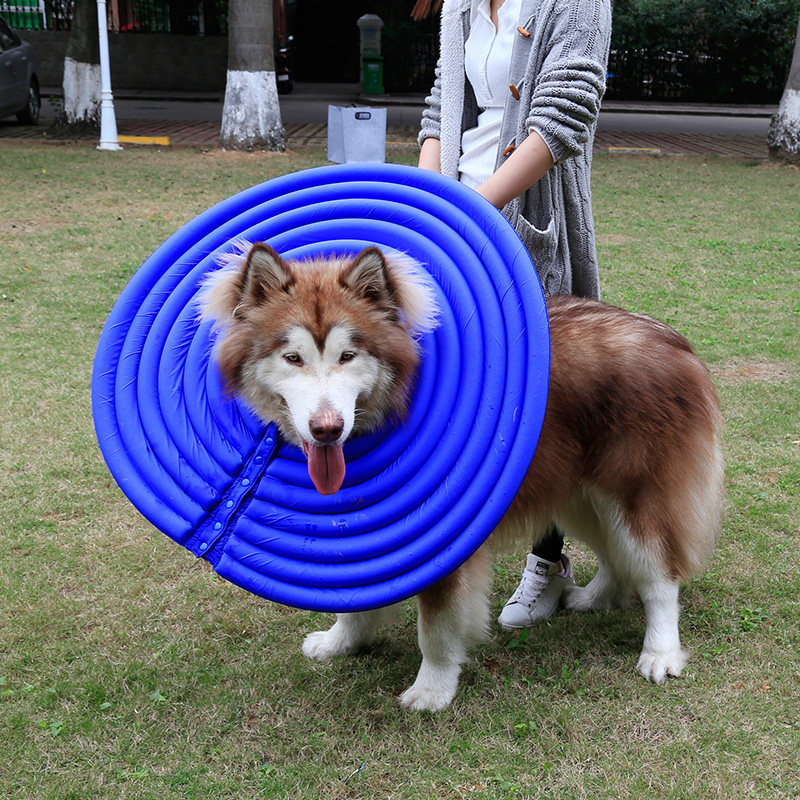 伊丽莎白圈软大型犬防舔头套狗项圈宠物防咬圈猫咪耻辱圈狗狗头罩