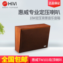 Hivi whiwei TW101 wooden wall-mounted speaker public address system Horn 10W classroom wall sound