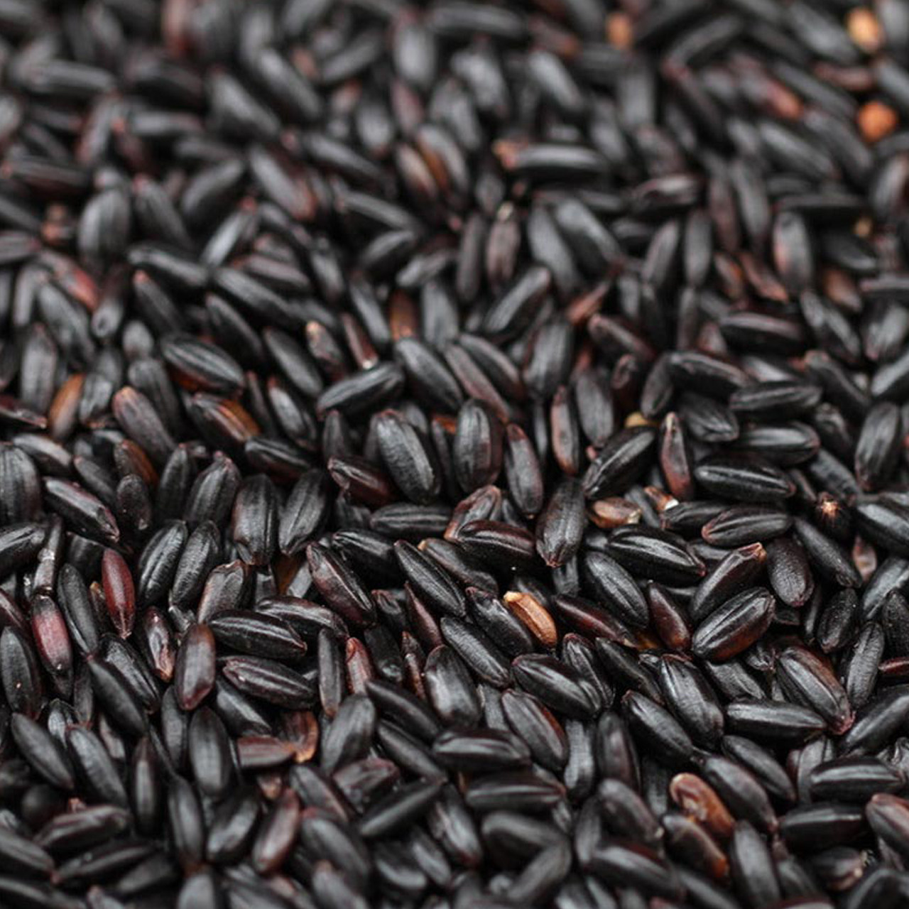 绿蔚新米黑米包邮五谷杂粮优质黑米 黑米仁 黑大米 真空包装400g