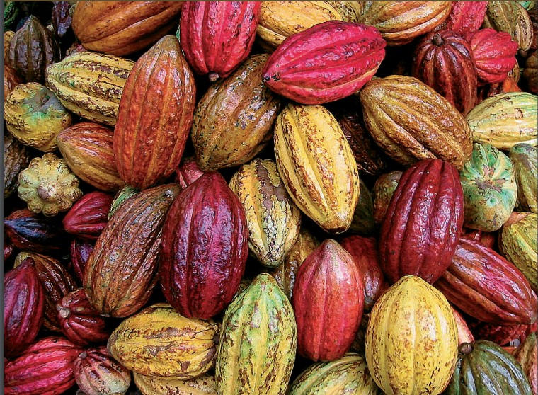 进口生可可豆无糖co豆原豆原料不长胖零食烘培特价包邮_双氙车灯改装