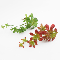 Hanging Vine Black Hair Division Fake Flower Indoor Plant Wall Simulation Flower Micro Landscape Multimeat Simulation Living Room Putting Flower Arrangement