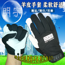 Labor protection gloves short sheepskin gloves soft and comfortable sweat-absorbing breathable driver riding handling foreign trade quality