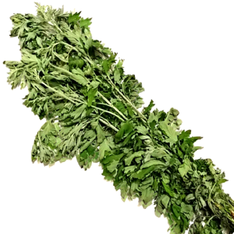 【预售】新鲜艾草大叶带杆野生艾20支产妇泡脚婴儿洗澡端午节礼物