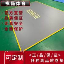 Sanda Fighting Taekwondo Mat Dance Wrestling Fitness Roll Mat Wushu Muay Thai Judo Mat Training Ground