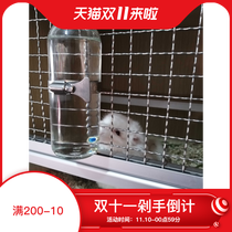 Striker Kettle Drinking Water Dispenser Glass Large Capacity Dragon Cat Rabbit Dutch pig groundhog Sow Parrot Squirrel Muted