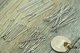DIY 액세서리 및 액세서리 수제 소재 티타늄 스틸 304 스테인레스 스틸 T- 네일 9- 네필 브레이슬릿 목걸이 소재 DIY 액세서리 및 액세서리 수제 소재 티타늄 스틸 304 스테인레스 스틸 T- 네일 9- 네필 브레이슬릿 목걸이 소재