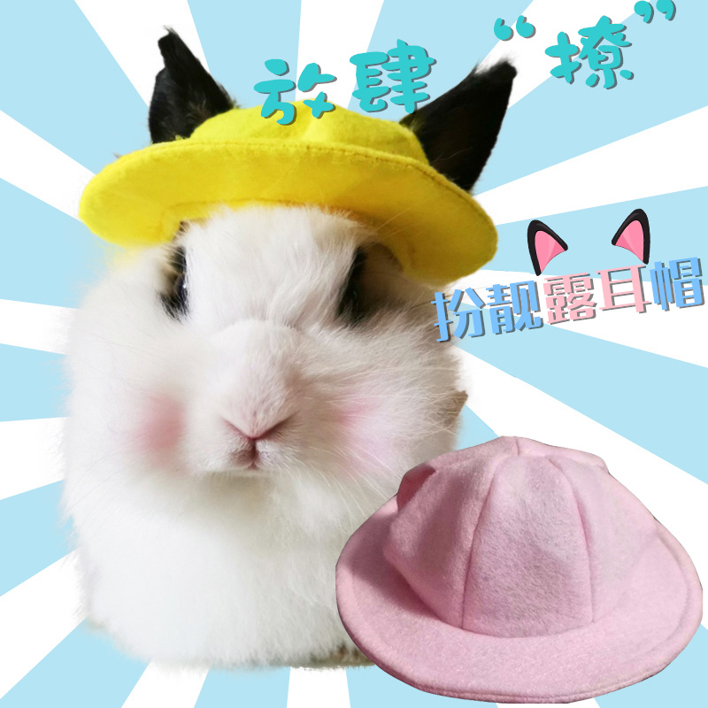 O1CN01CmZxmp2C8X7lIOwRq_!!0-item_pic.jpg