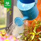 Washworth gardening iron watering kettle ນ້ໍາເດັກນ້ອຍ kettle watering kettle iron 1.5L watering kettle ຄວາມຈຸຂະຫນາດໃຫຍ່