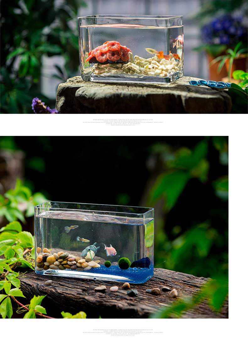玻璃鱼缸长方形创意水族箱迷你客厅小型桌面观赏造景家用懒人鱼缸