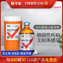 Chinese Livestock Enrofloxacin Solution Beast with E. coli Pig Drug Cattle Goat drug Chlamydia Pig Lasty