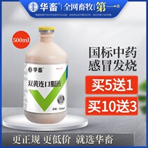 China animal veterinary Shuanghuanglian oral liquid veterinary shuanghuanglian ji ya e zhu niu yang cold respiratory antiviral