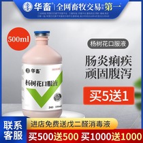 Huaju poplar flower oral liquid Veterinary anti-dysentery Veterinary medicine for pigs Rabbit cattle sheep chicken duck piglets Diarrhea dysentery