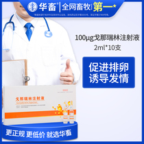 Hua animal veterinary drug gonarin urging injection to induce the same period of estrus promoting pregnancy ovulation and insemination