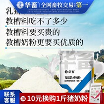 Hua pig milk powder teaching tank feed pig feed suckling pig milk powder piglets open feed piglets weaning stress and thinning