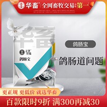 China animal ge yao encyclopedia of pigeon with pigeon intestinal treasure pigeons supplies drug pigeon bird parrot intestinal drug diarrhea water Green will