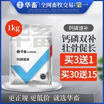 Hua livestock calcium phosphorus quick supplement calcium hydrogen phosphate pig cattle sheep poultry and chicken with trace elements Veterinary Feed additive calcium powder