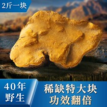 (40 years of wild) Tibetan authentic mulberry and sanghuang wild super quality 1000g two jins in one piece