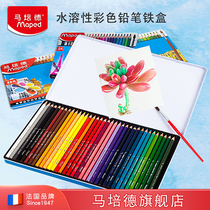 French Maped 48 Colors Water Soluble Color Pencil Box Set Student Color Pencil 36 Colors Hand Painting Professional Art Supplies for Kids Beginner Color Painting Painting Pen for Art Students