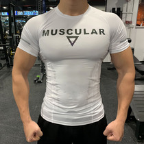 Tights mens sports basketball training running Sweat-absorbing quick-drying elastic short sleeve fitness personal trainer work suit customization