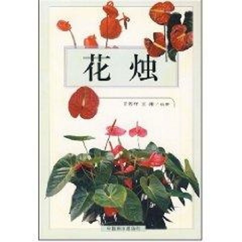 花燭 王若祥，王赧 編著 著作 心理健康生活 新華書店正版圖書籍