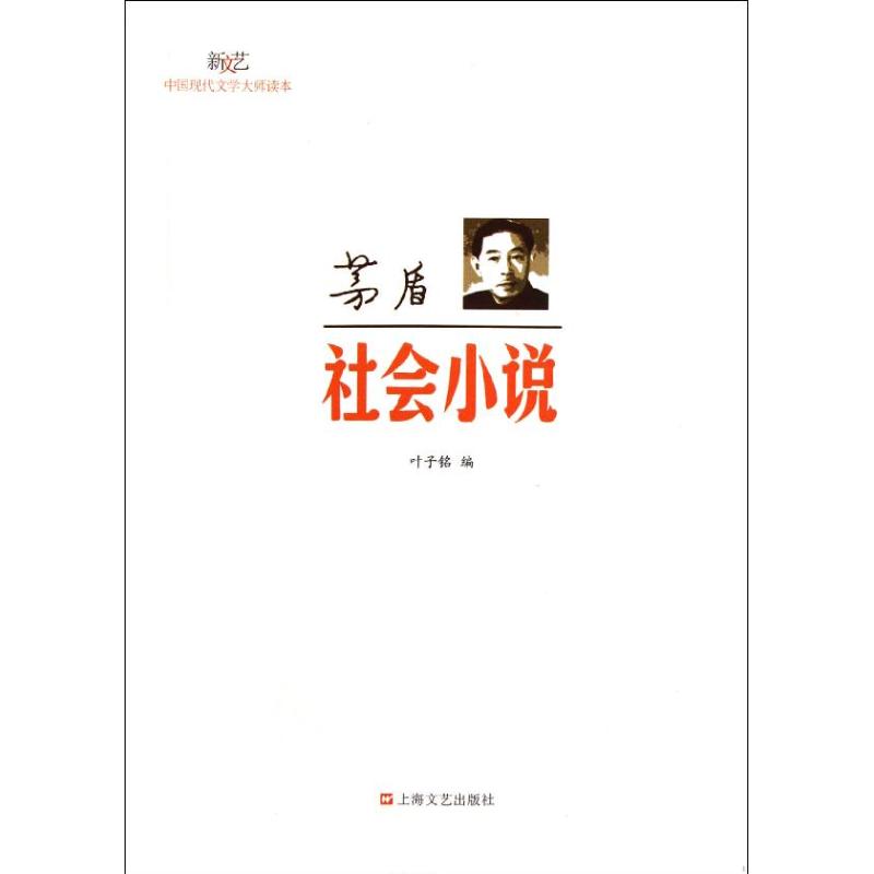 茅盾.社會小說 葉子銘 編 著作 現代/當代文學文學 新華書店正版