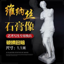 Broken arm Venus plaster Pixel drawing art character avatar Plaster teaching aids Full body sculpture ornaments Venus statue