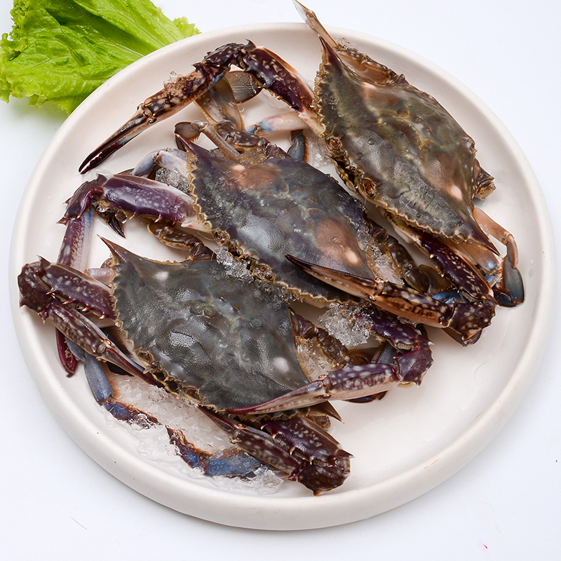 顺丰包邮渤海生鲜野生鲜活大梭子蟹青蟹白蟹海螃蟹3斤装1500g 顺丰包邮渤海生鲜野生鲜活大梭子蟹青蟹白蟹海螃蟹3斤装1500g
