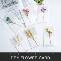 Plant dried flower card net red simple style card shooting props ornaments ancient props ins photo props