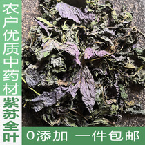 Perilla leaf tea 500g spice seasoning marinade perilla leaf dried perilla leaf dry sulfur-free herbs