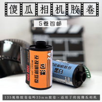 Fool camera film color 135mm professional 36 test machine old retro practice hand film student Philin