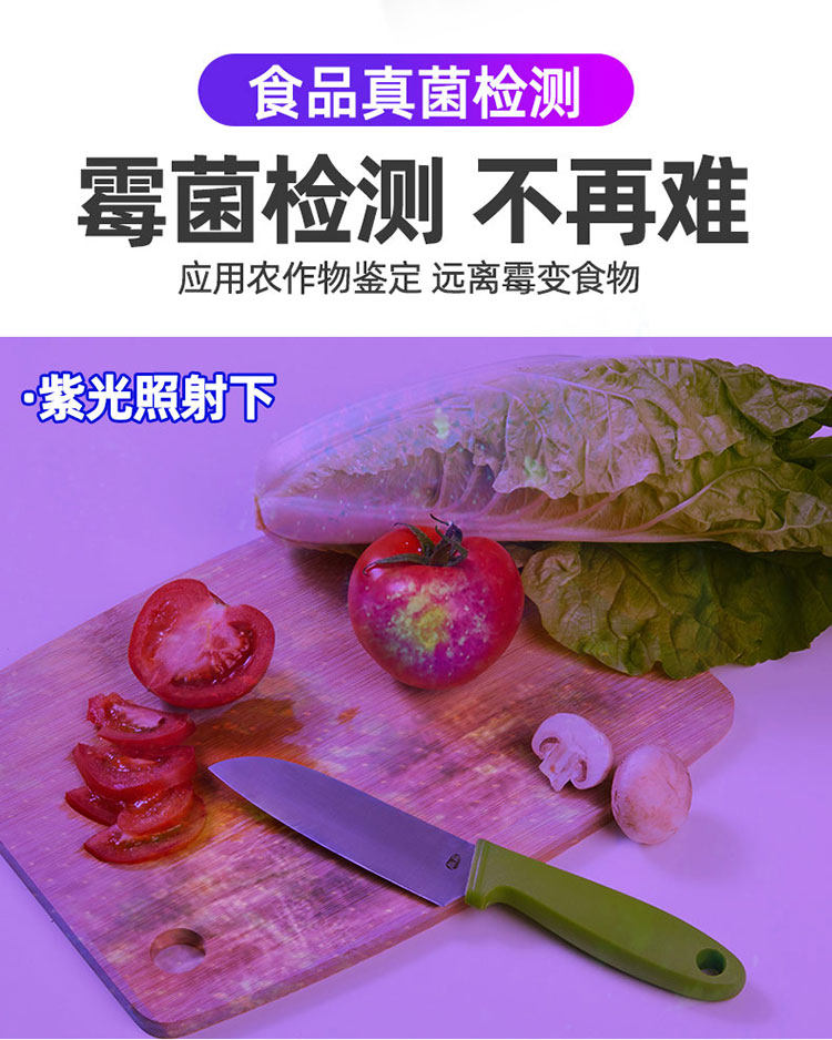 剂笔笔灯黄曲霉素紫光检测黄曲霉紫外线毒素检测荧光手电筒验钞菌