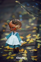 (Spot) BJD Doll Dollzone Limited-Cindy Cindy Full Set