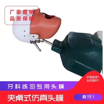 Dental oral teaching model Dental students practice dental tooth simulation headmould and dental detachment