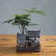 Chinese-style gardening green flower pot creative ceramic home Bogu rack balcony small house wenbamboo multi-meat potted flower spout Chinese-style gardening green flower pot creative ceramic home Bogu rack balcony small house wenbamboo multi-meat potted flower spout