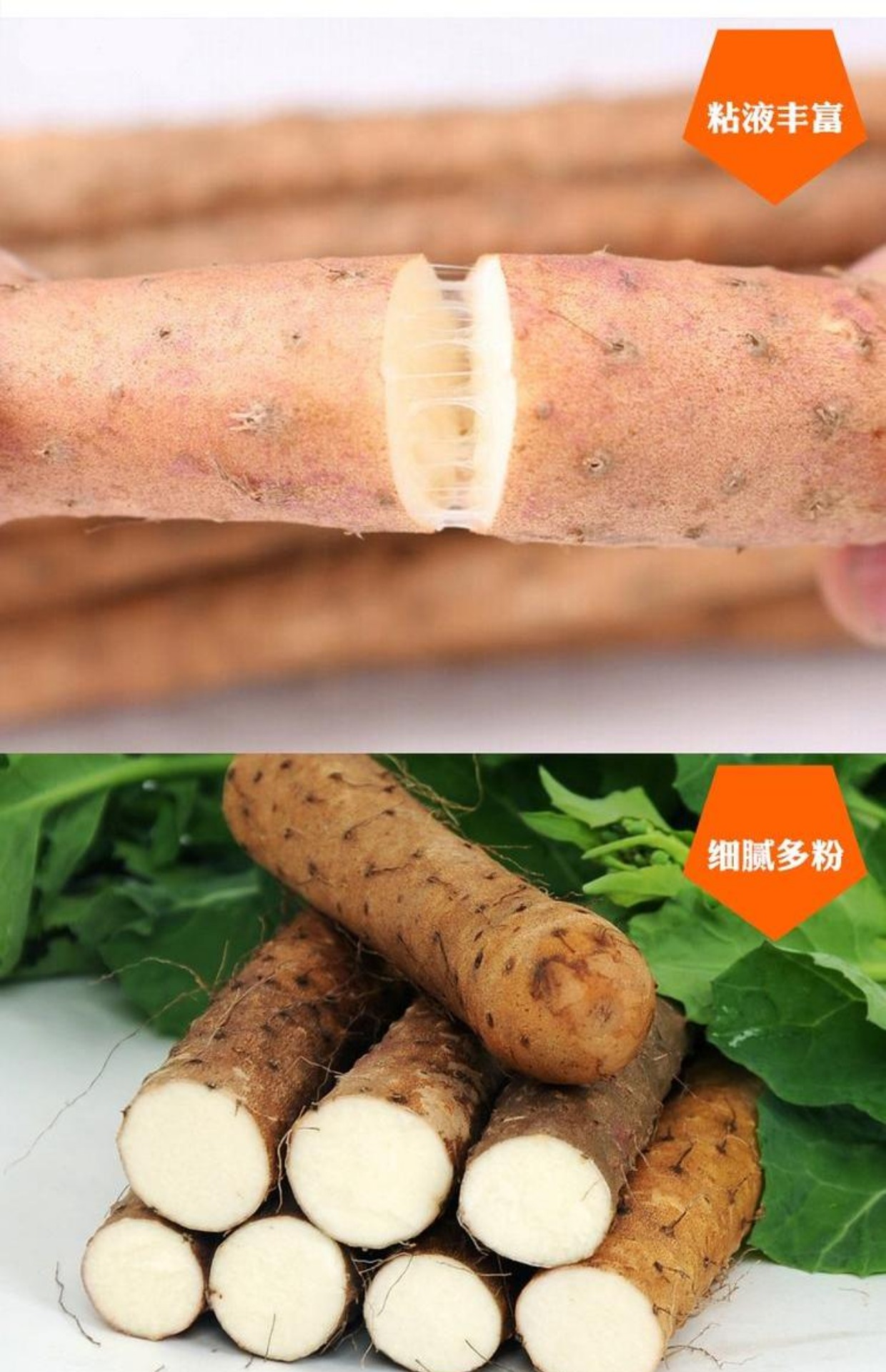 强于 温县沙土铁棍山药 河南焦作新鲜怀淮90公分山药3000g礼盒装_7折