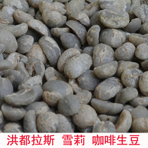 Honduran Shirley Moka Estate Whisky Wine Barrel Fermentation Washed to Treat Coffee Raw Beans