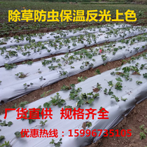 Agricultural black geomembrane White geomembrane Silver black two-color geomembrane Strawberry orchard thickened weeding film White insulation plastic film