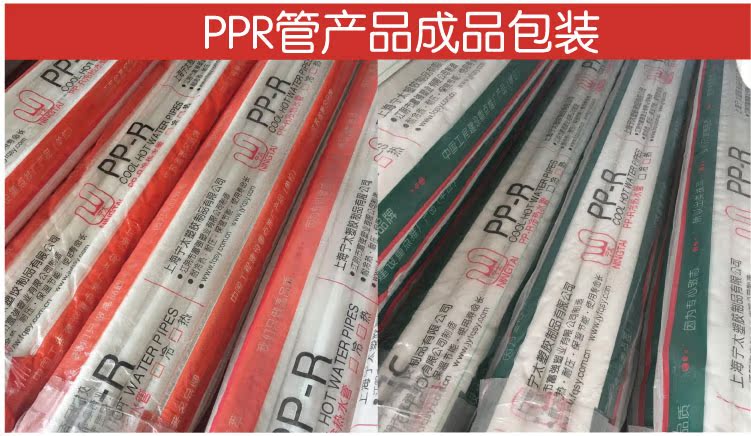 ppr给水管件 带脚丝弯 带脚弯20